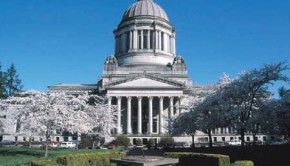 Olympia-capital-image-08-01