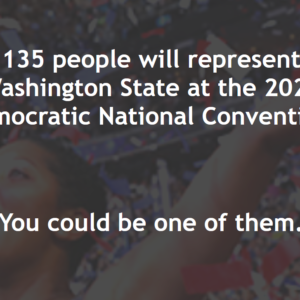 135 people will represent Washington State at the 2024 Democratic National Convention. You could be one of them.