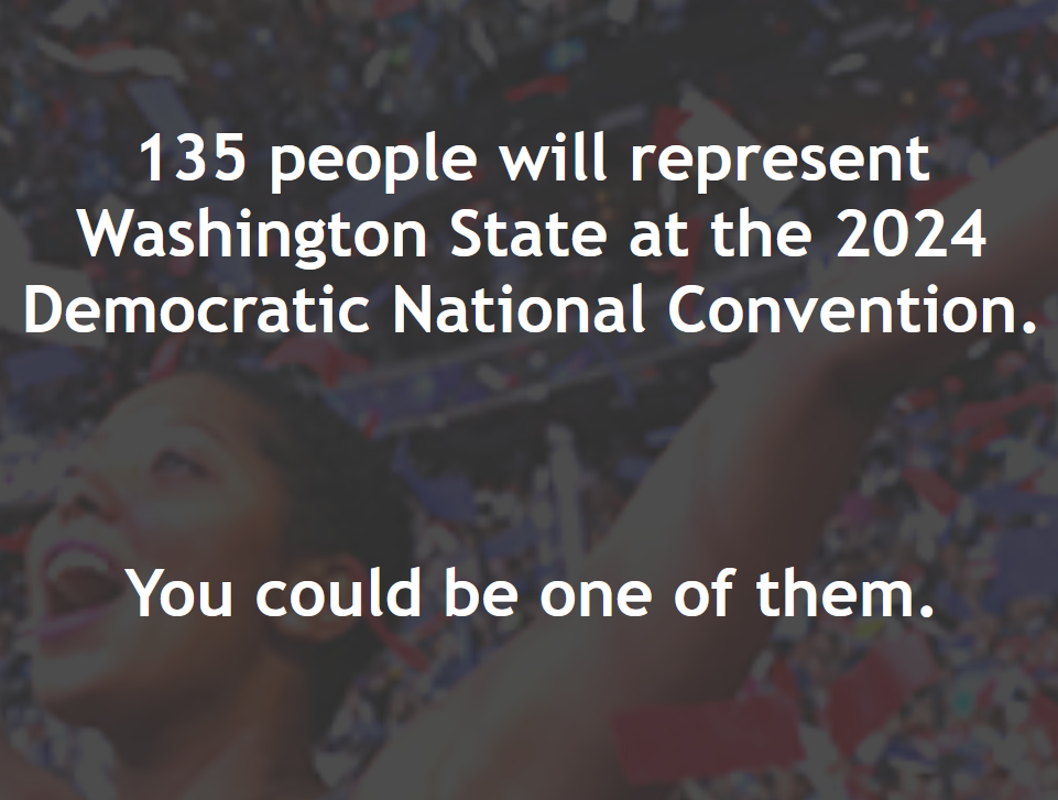 135 people will represent Washington State at the 2024 Democratic National Convention. You could be one of them.